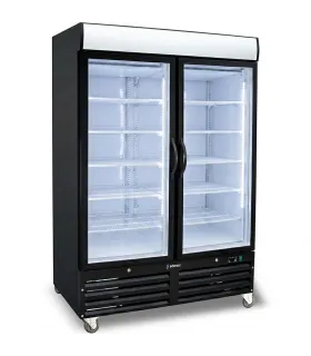 Armarios Expositores Congelados Liquidación Armario Expositor Congelados con 2 Puertas Pivotantes Edenox ACE-902-C HC color n...