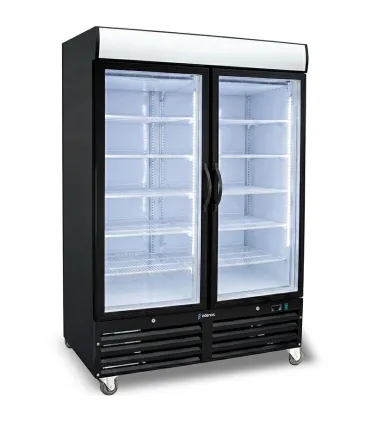 Armarios Expositores Congelados Liquidación Armario Expositor Congelados con 2 Puertas Pivotantes Edenox ACE-902-C HC color n...