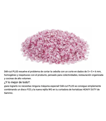 Discos Cortahortalizas Kit Brunoise 5x5x6 Sammic Déli Cut PLUS: Disco Rejilla Wedge + Disco cortador FCE-5X5G Sammic Kit de c...