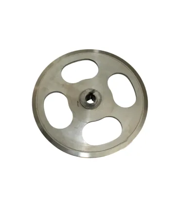 Recambios Sierras Polea Inferior diametro 21mm eje 19mm para Sierra de Huesos HLS-1650 Eutron REP0003401