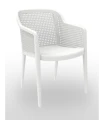 Silla con Brazos Polipropileno Ambiente