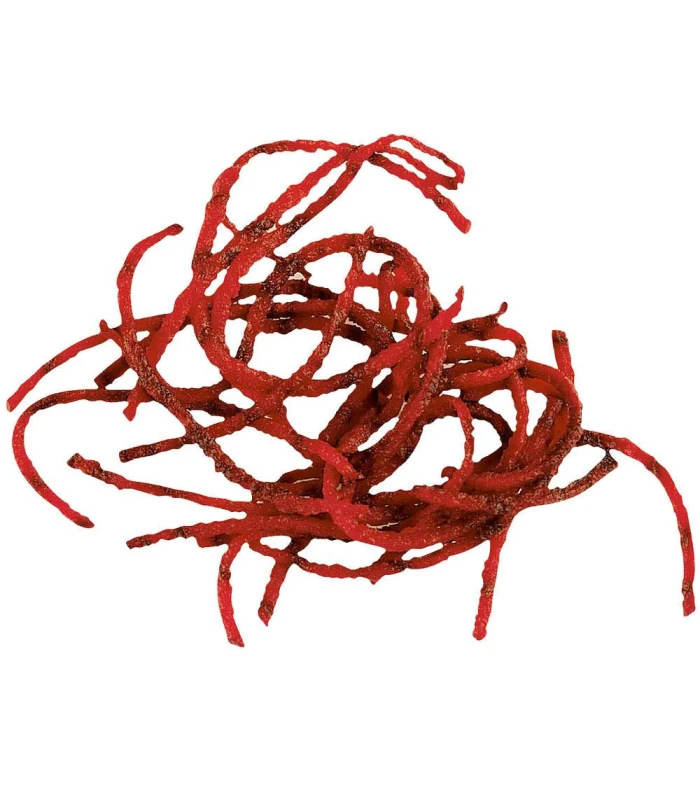 default_cat_name) (product_name) (product_reference)