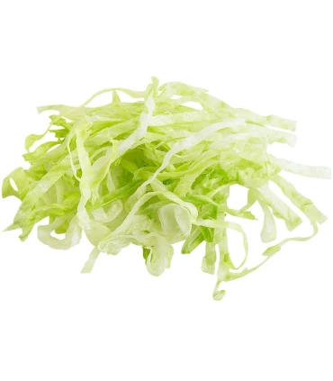 Discos Robot Coupé Disco Rebanador 6mm Robot Coupé 28196 Robot Coupé 28196W