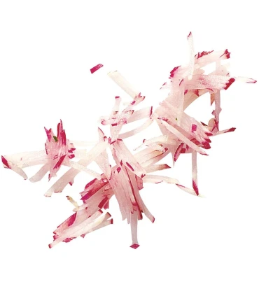 Discos Robot Coupé Disco Bastoncillos 2x2mm Robot Coupé 28051 Robot Coupé 28051W