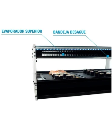 Vitrinas de Sushi Vitrina refrigerada Sushi de 2 pisos con 4 bandejas GN 1/3 SHS-4i Vitrinas Gómez SHS-4iE