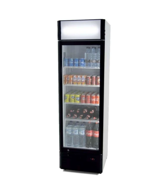 Armario Expositor Refrigerado 360 litros  580 x610 x1980h mm CS360B