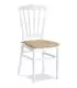 Silla Monobloc Polipropileno para Eventos Napoleon