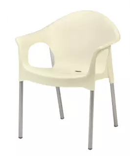 Silla Monoblock Aluminio y Polipropileno Lisa