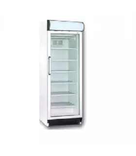 Armario expositor congelador 1 puerta 270 litros 370 UFR