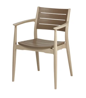 Silla con Brazos polipropileno Regnum