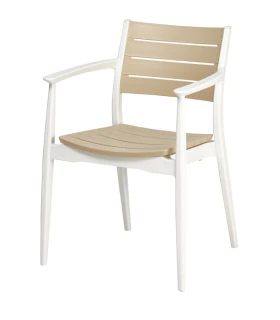 Silla con Brazos polipropileno Regnum