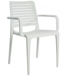 Silla con Brazos Park Ezpeleta