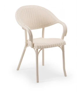 Silla con Brazos Rattan Biarritz