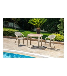 Silla con Brazos Rattan Biarritz