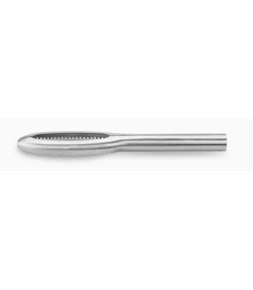 Varios Escamador EC inoxidable 270x20x70 mm Fricosmos 440052