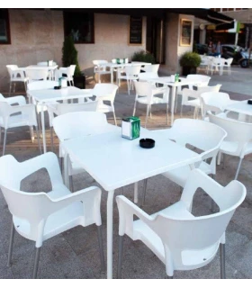 24 Sillas con Brazos Ezpeleta Cup