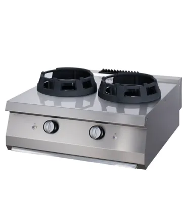 Cocinas Wok Cocina Wok 28 kW de 2 quemadores fondo 700mm FI5 6120 Ozti FI5 6120
