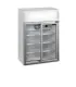 Armario Expositor refrigerado 655x390x930h mm FSC100