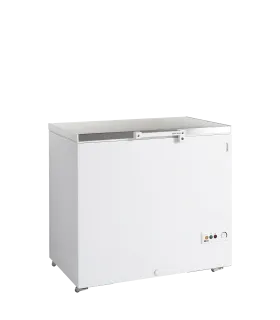 Arcones Congeladores Arcón Congelador 984x700mm tapa de acero inoxidable FR305S SL Tefcold FR305S SL