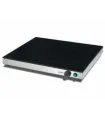 Placa caliente de sobremesa 640 x 540mm Edenox PC-6454