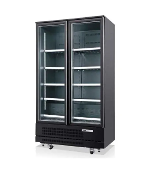 Armario Expositor Congelados color negro 2 puertas VESUC-902-C de Edenox
