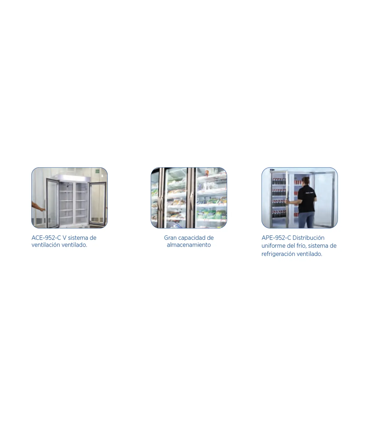 Armarios Expositores Congelados Armario Expositor Refrigerado 3 puertas batientes 1650 litros Edenox APE-1603-C Edenox 19091038