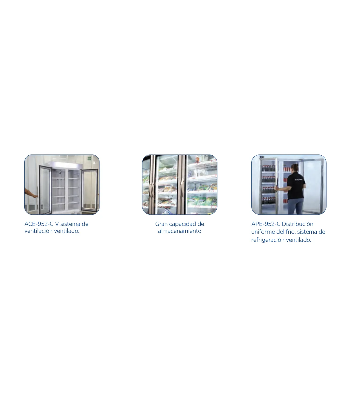 Armarios Expositores Congelados Armario Expositor para congelados 2 puertas batientes 950 litros Edenox ACE-952-C Edenox 1910...