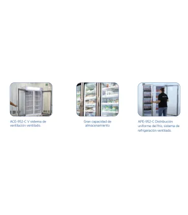 Armarios Expositores Congelados Armario Expositor Congelados frío ventilado Edenox ACE-651-C Edenox 19103061