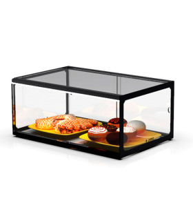 Vitrina neutra 555x330mm 1 Piso Sayl EP20-S