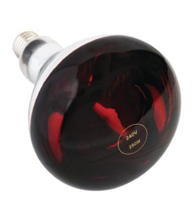 Mantenimiento de Calor Bombilla calentadora infrarroja de 250W rosca E27 Buffalo AG570 Buffalo AG570