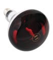 Bombilla calentadora infrarroja de 250W rosca E27 Buffalo AG570
